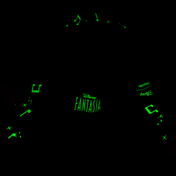 Sorcerer Mickey Glow Hoodie