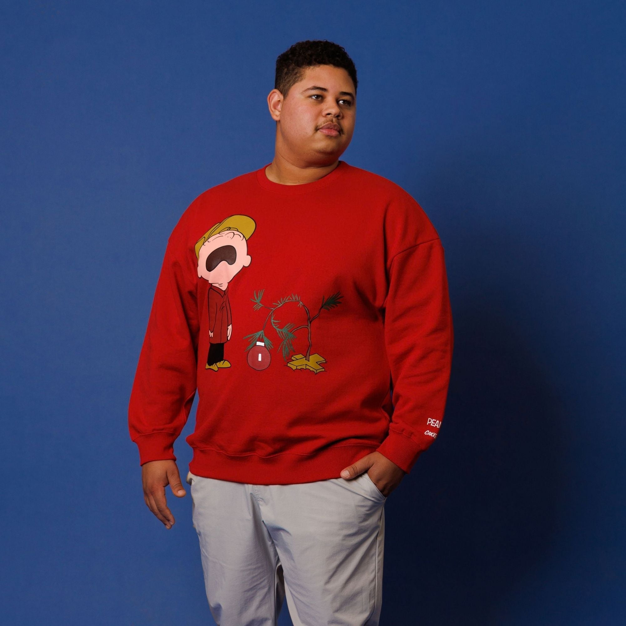 PeanutsHolidayResizes-14_809ea6ee-00b3-48cc-a5dc-43a317fe605f.jpg
