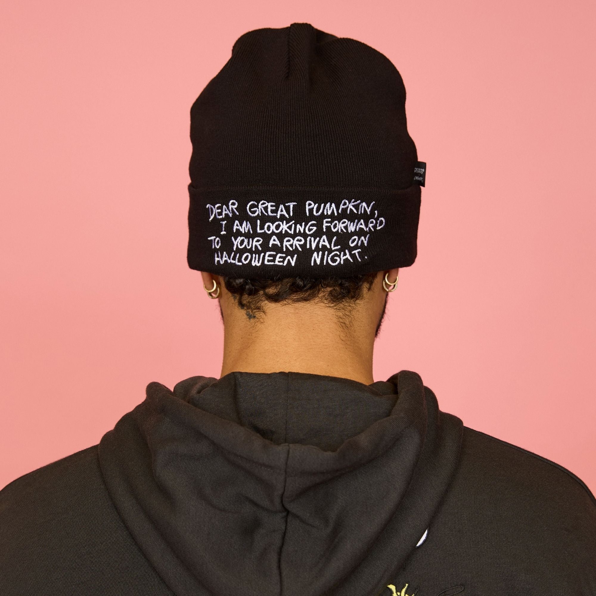 Peanuts The Great Pumpkin Charlie Brown Beanie