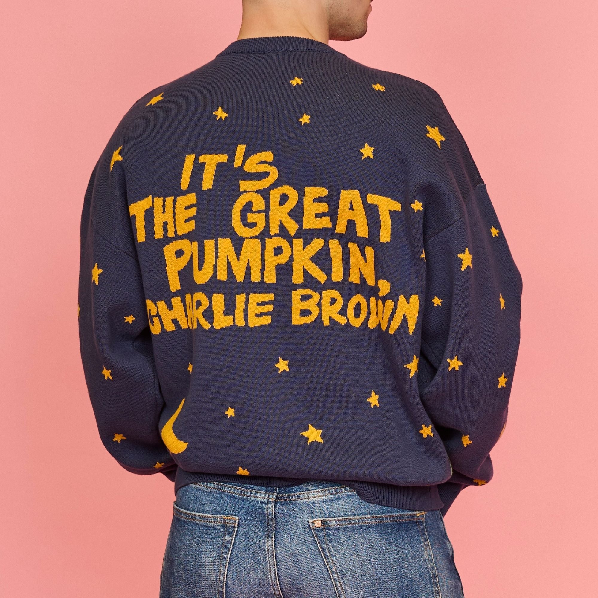 Peanuts The Great Pumpkin Charlie Brown Knit Sweater