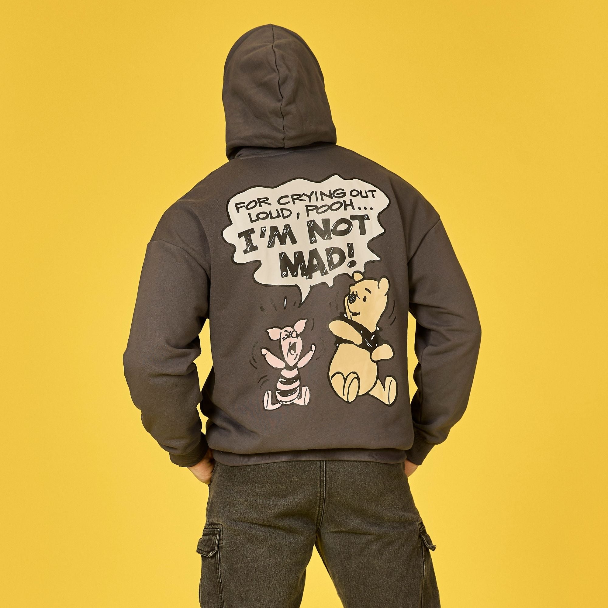WinniethePoohResizes_100.jpg
